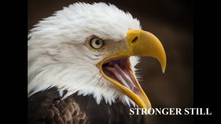 Pray USA, 12/10/2025 Stronger Still