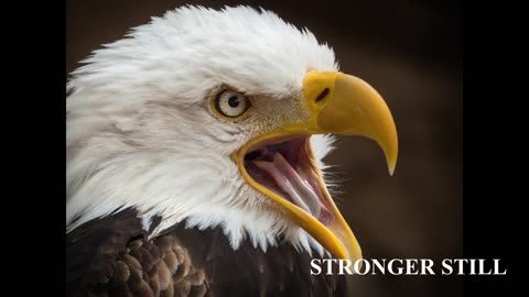 Pray USA, 12/10/2025 Stronger Still