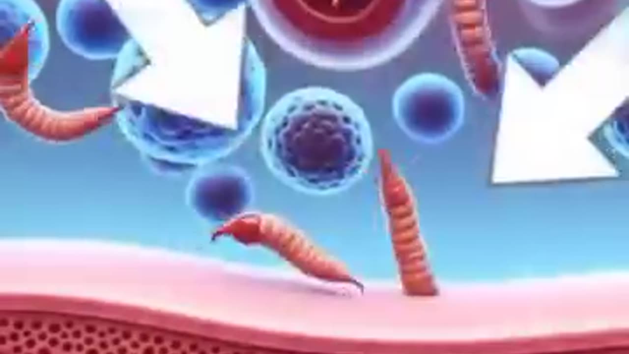 The power Of Cloves