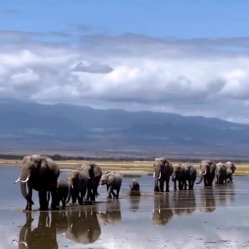 Somewhere in Zimbabwe.