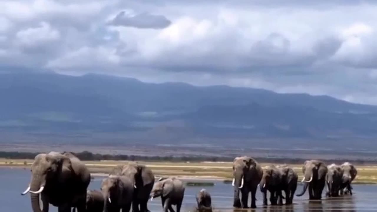 Somewhere in Zimbabwe.