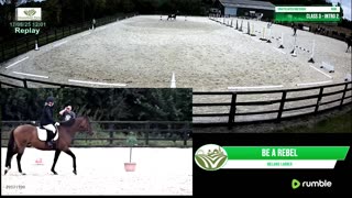 Mousehold Farm- Riding arena