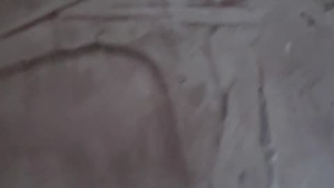 Venetian plaster