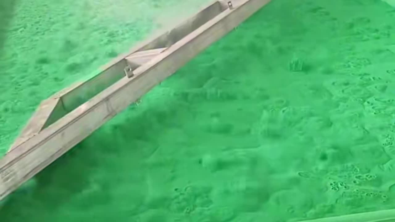 💡✨ A Clever Hack You'll Wish You Knew Sooner | LifeHacksDaily