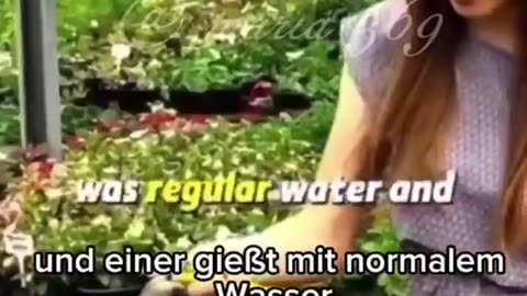 Die Microwelle 😳🤯