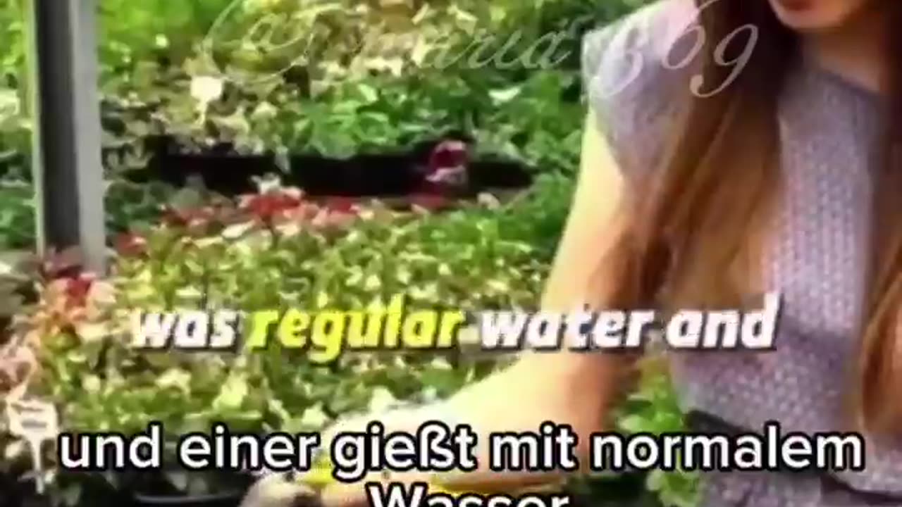Die Microwelle 😳🤯