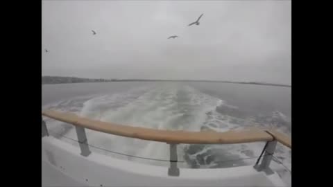 Reupload of fishing videos from late 2018 to end of 2020!