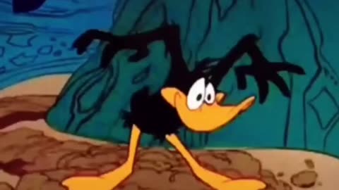 Somali illegal activities ‼️….📖