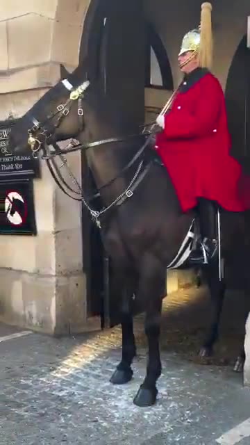 Diversity trying to startle horse