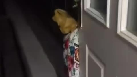 👀🧿 Something Watches in the Darkness... Eerie Footage | TheHauntingHour