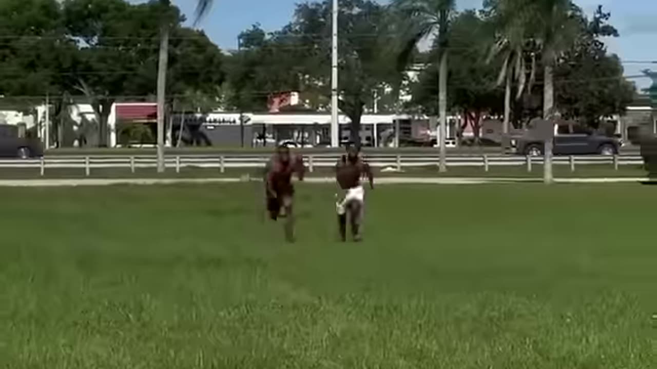 BEFORE @AshtonHallOfficial Lost 😱AFTER @IShowSpeed WON Energy THE TURNING POINT! LETS GO 🥊