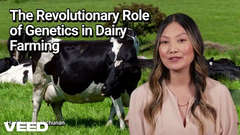 Revolutionizing the Dairy Farming with Genetics