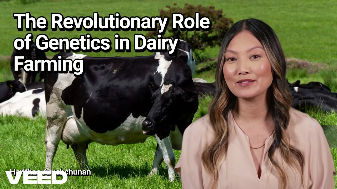 Revolutionizing the Dairy Farming with Genetics