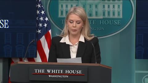Karoline Leavitt's tense exchange with reporter over Trump's South Africa meeting