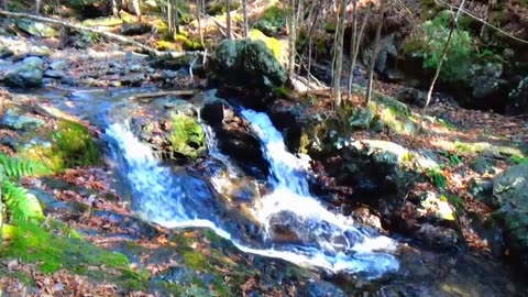 Cascades