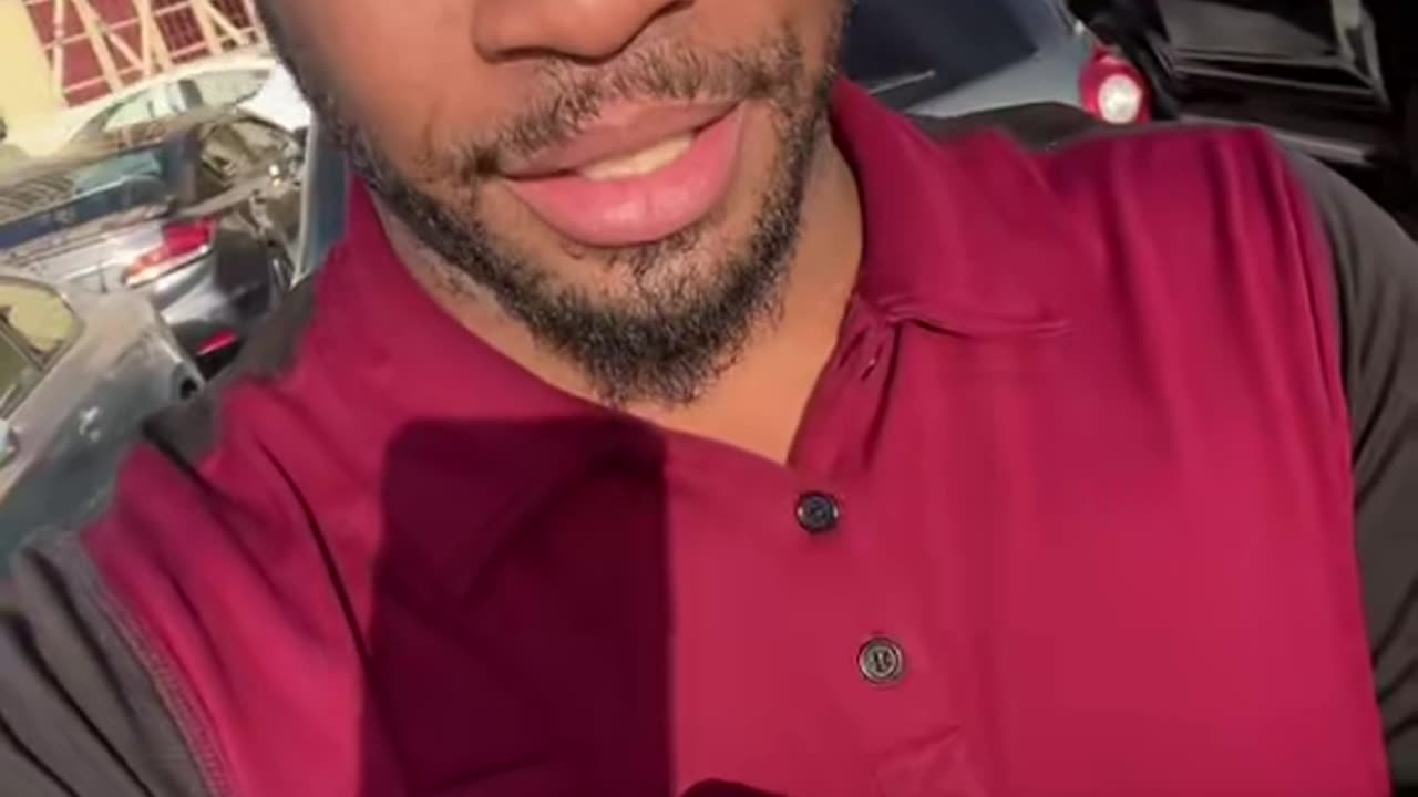 Bees Done Took Over My Car