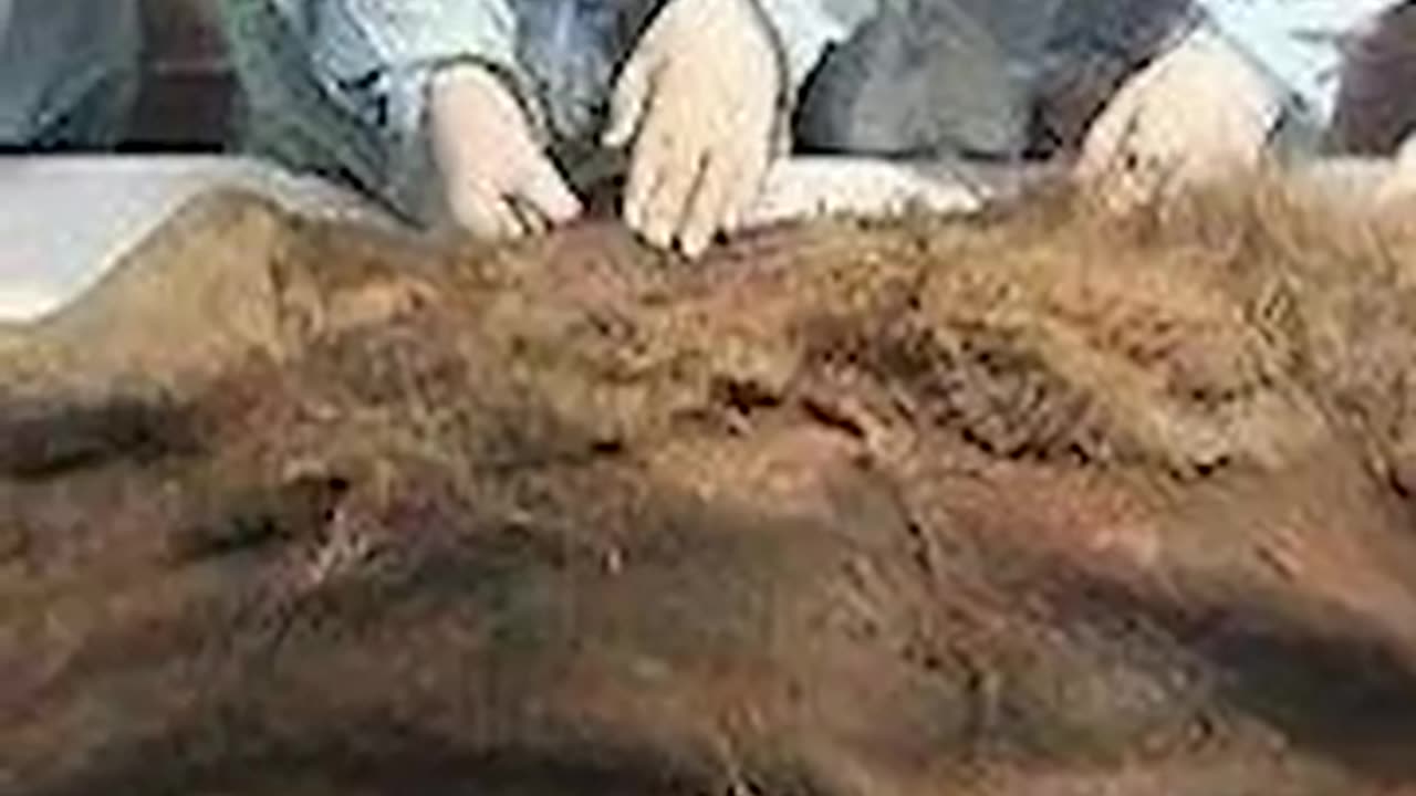Terrifying Prehistoric Creatures Scientists Found Frozen In Ice