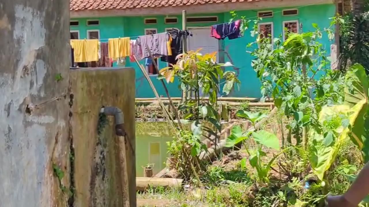 Fun video