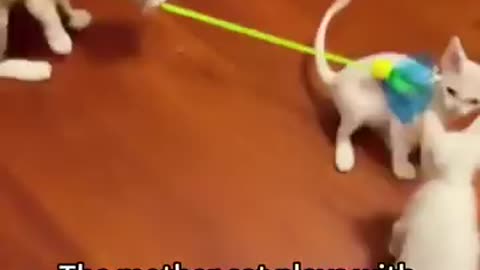 Funny