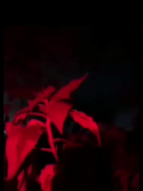 The Insane Ongoing Bombardment Are Kupyansk