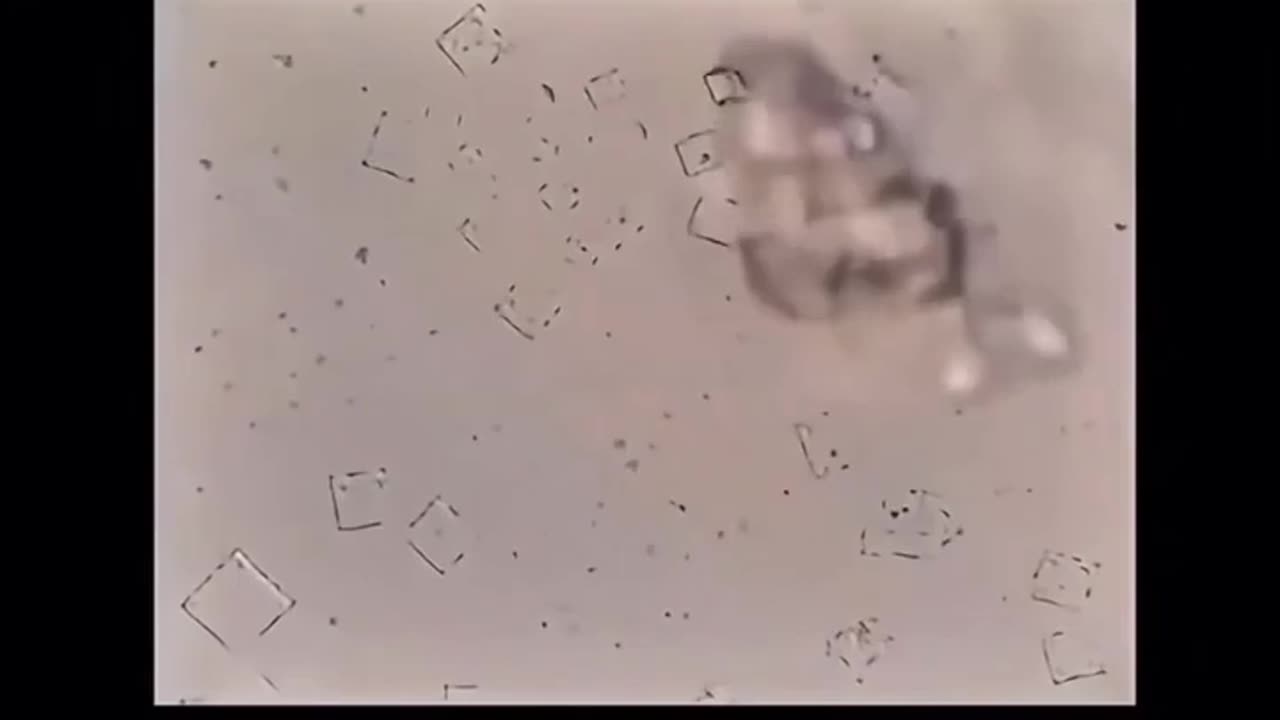 Microscopic imagery shows nicotine destroying nanotechnology.
