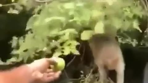 😂🤦‍♂️ I Got It! The Funniest Moment You'll See Today | FunFM