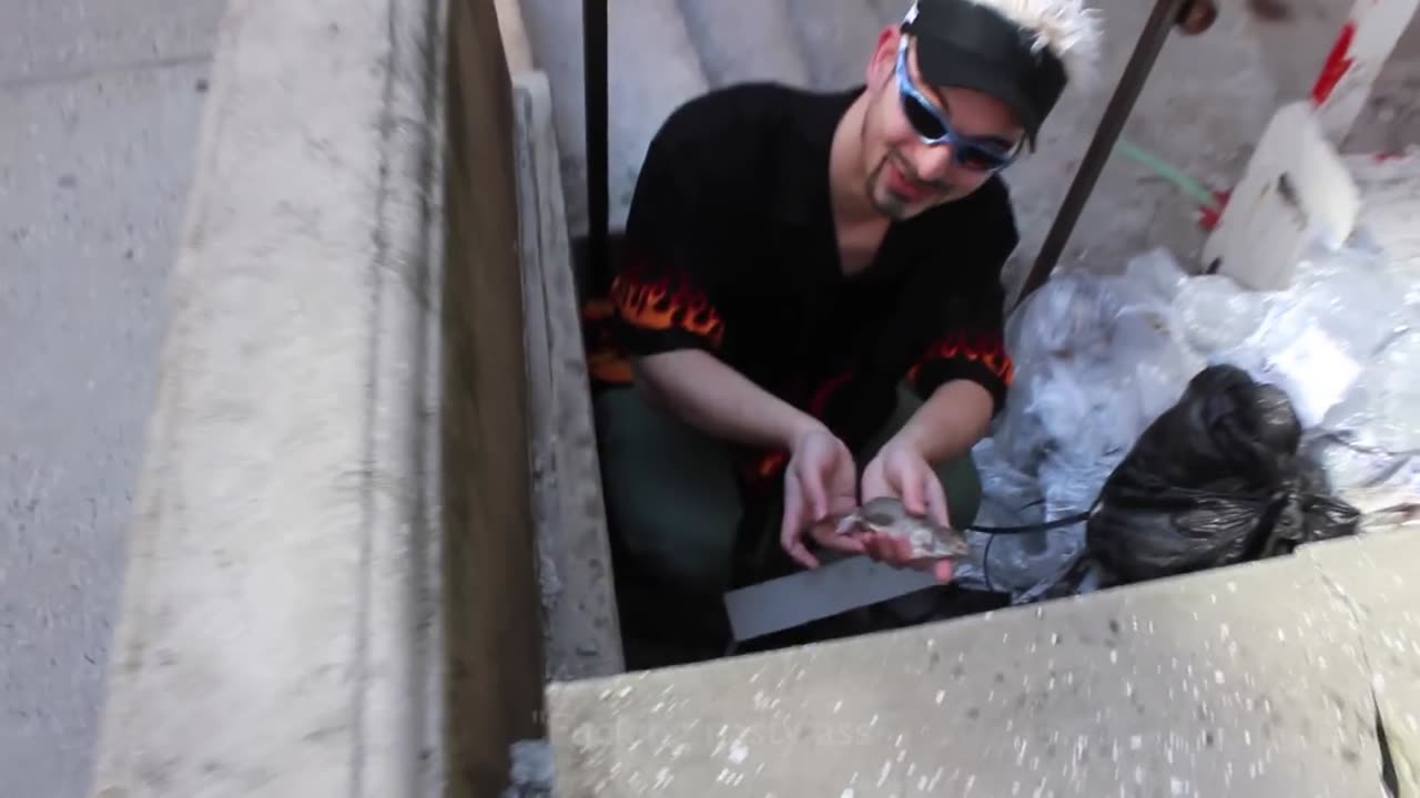 RAT CHEF