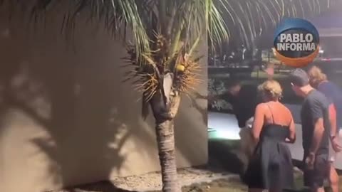 ♂ Guy Regrets Spider Photo in the WORST WAY! | FunFM
