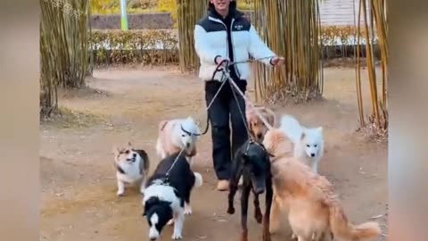 盘点那些不干人事的损友2，珍爱生命，远离损友 #不干人事 #损友 #看一遍笑一遍 #专治不开心 #搞笑