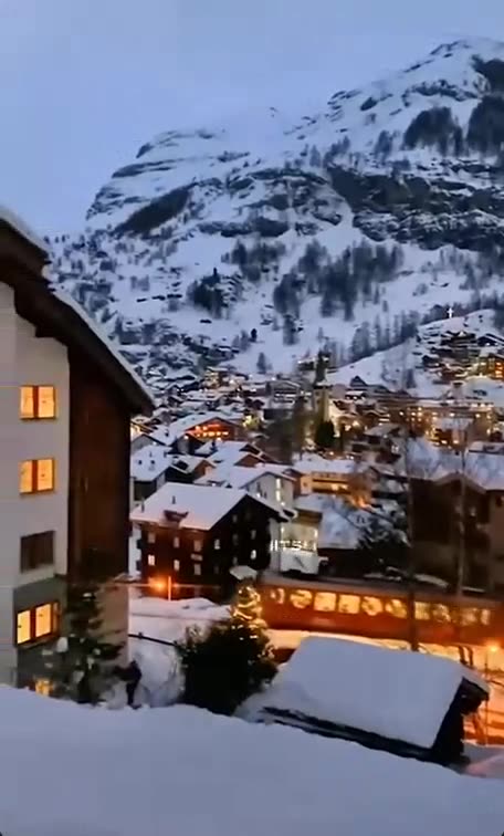 VERITAS VAULT 🎄 PEACE ON EARTH 🎄 MERRY X-MAS 🎄 CRYPTO PROFITS 3X@DAY 🎄 TOP TEAM ROB BUSER