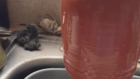 Whistling Thumb Pot Waterer