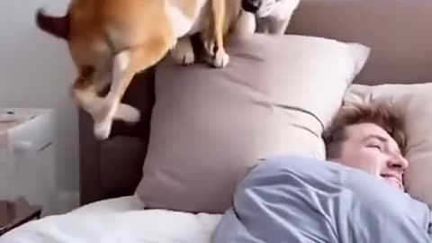 AI generated videos are becoming scary