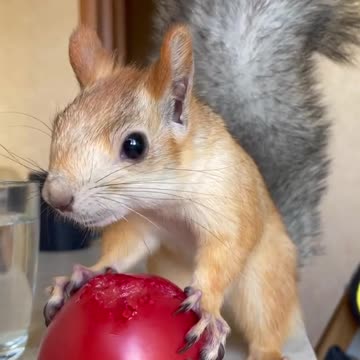 Farm fresh food is yummy