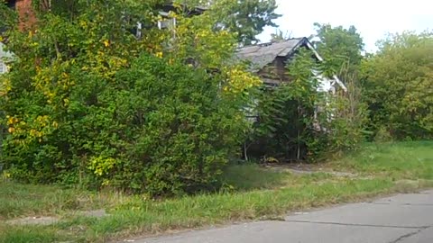 Looking At A Property For Client Who Lives In New Jersey. THE SHEA SHOW