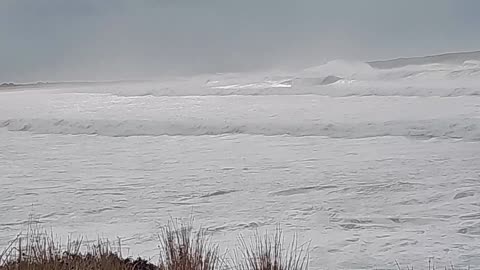 A Lousy Day for a Surf