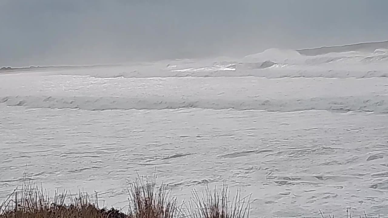 A Lousy Day for a Surf