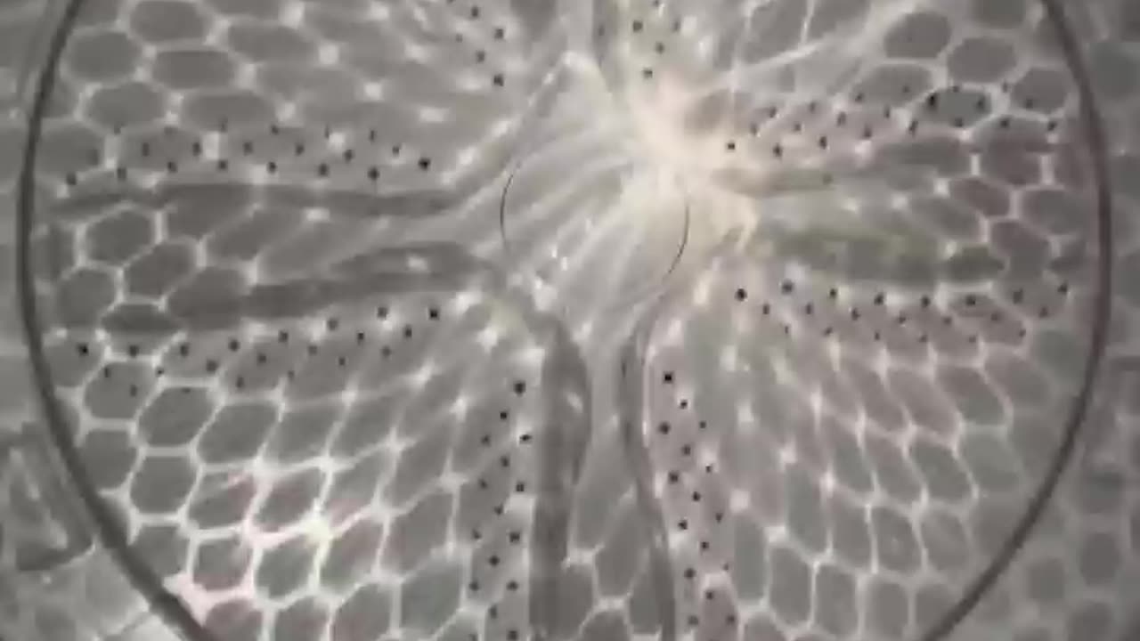 زندگی همیشه (خوشگلیاشو) داره!ء😅ء Life's Full of Wonders, Even At Laundry Time!😅