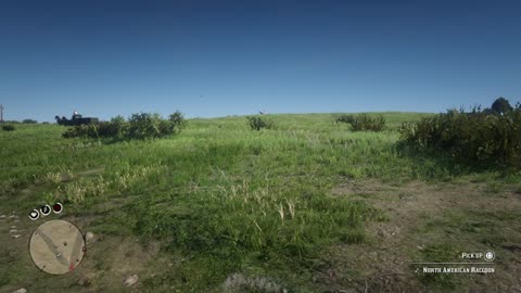 Red Dead Redemption 2 84585885986598690869068 fun low honor