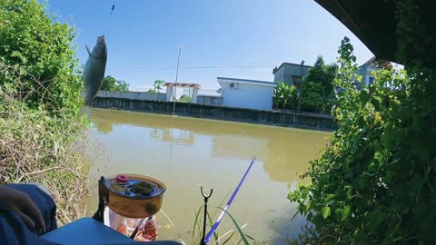 Crappie Fly Casting in Lake Brush Piles