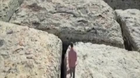 COLLOSAL NOT FOSSIL
