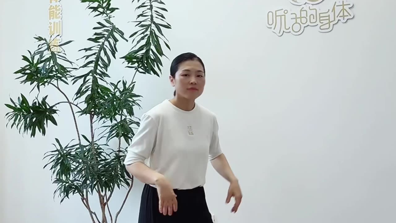816.小燕平衡飛動作講解
