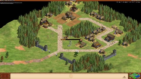 Age of Empires 2 building a huge wall! lol