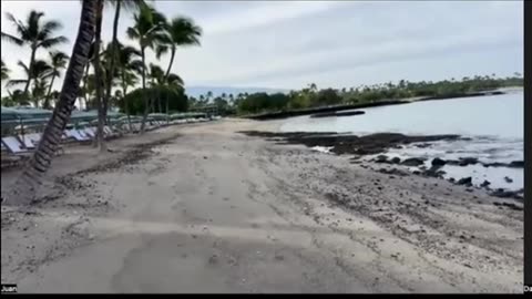 JUAN O SAVIN- NEW YORK NEW YORK! - NINO 11 4 2025