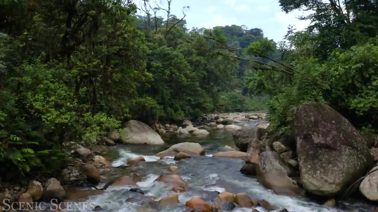 Amazon The World_s Largest Tropical Rainforest 🌧️☔-PART-1