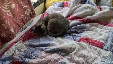 💪Friday😻Devotional🐕