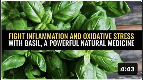 "Basil: A Powerful Natural Medicine for Fighting Inflammation and Oxidative Stress"