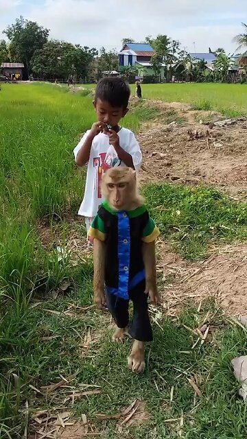 Viral video SokYaa, OG, Pao & Mom Are Famous Around The World #shorts #anime #trend #edit