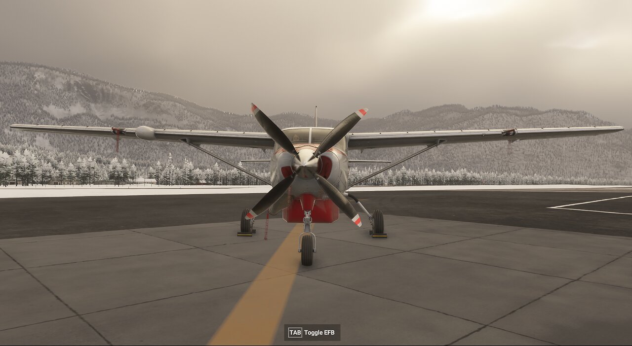 Cargo flights around British Columbia / MSFS 2024