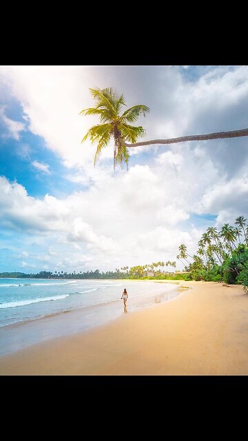 Experience the beauty of Sri Lanka in this stunning travel video!🍕🍗🍤🍦