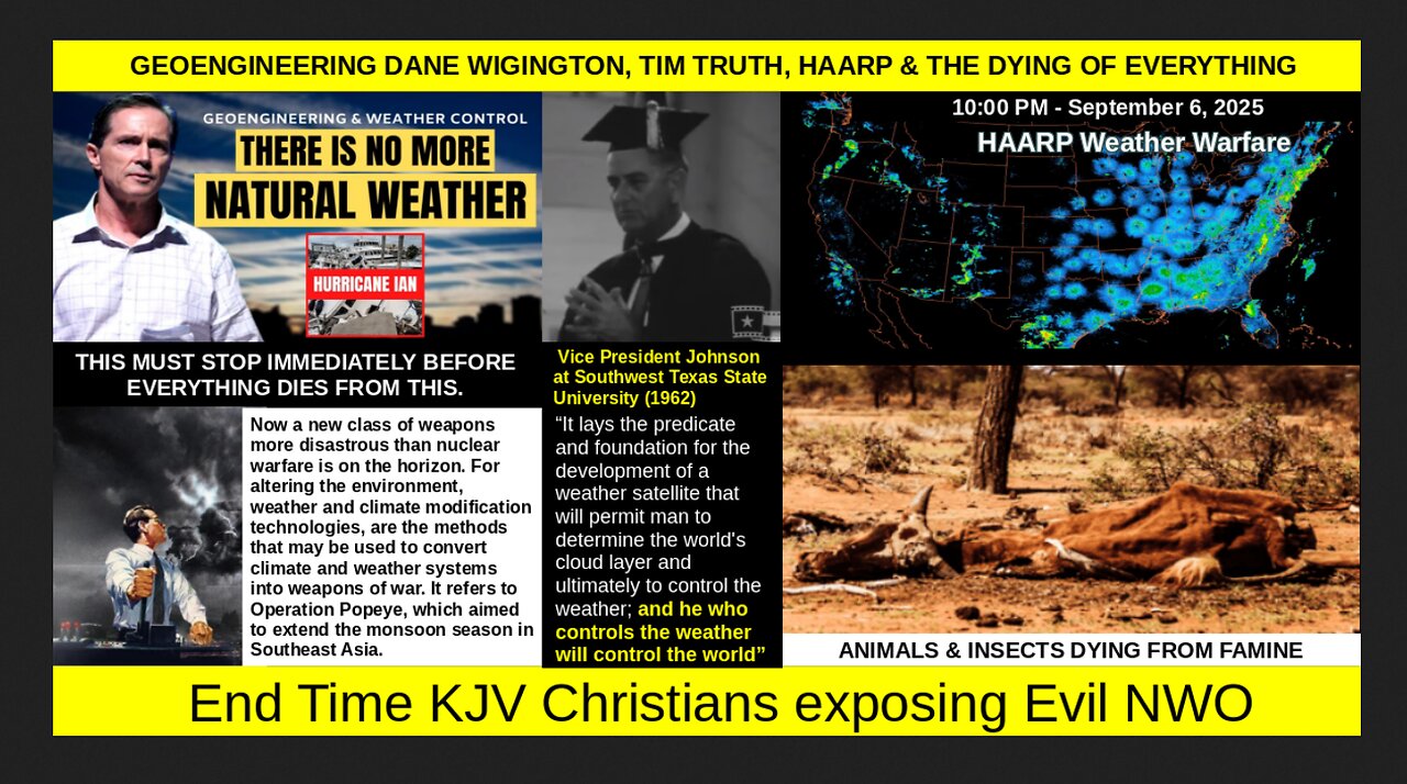 GEOENGINEERING DANE WIGINGTON, TIM TRUTH, HAARP & THE DYING OF EVERYTHING